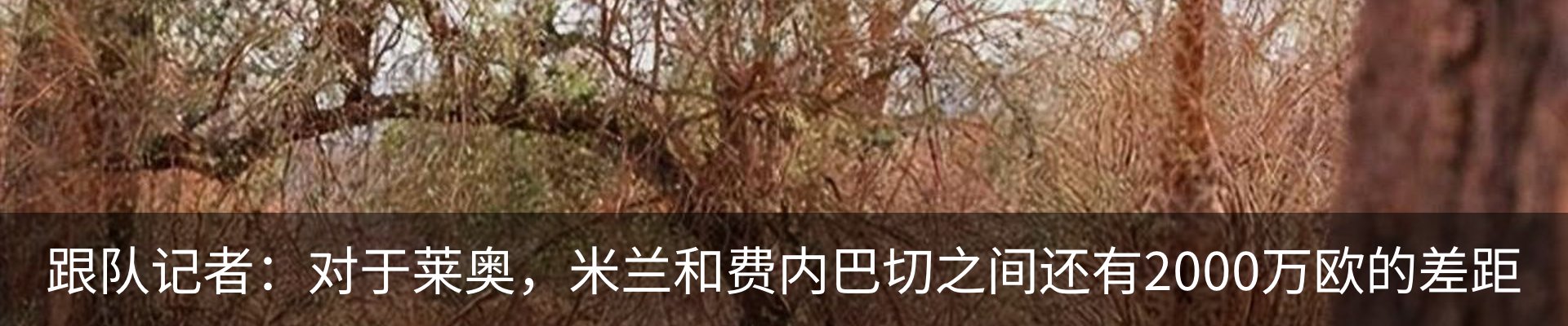资讯中心